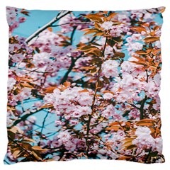 Nature Beautiful Rainbow Large Cushion Case (two Sides)