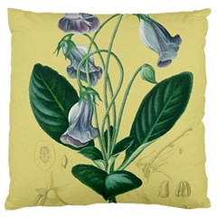 Botanical Plants Green Large Cushion Case (two Sides)